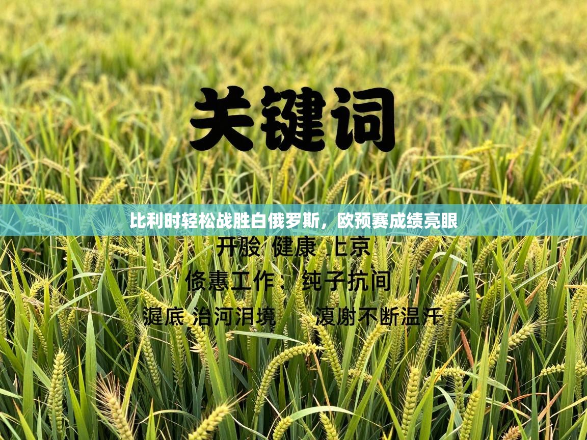 比利时轻松战胜白俄罗斯，欧预赛成绩亮眼  第2张