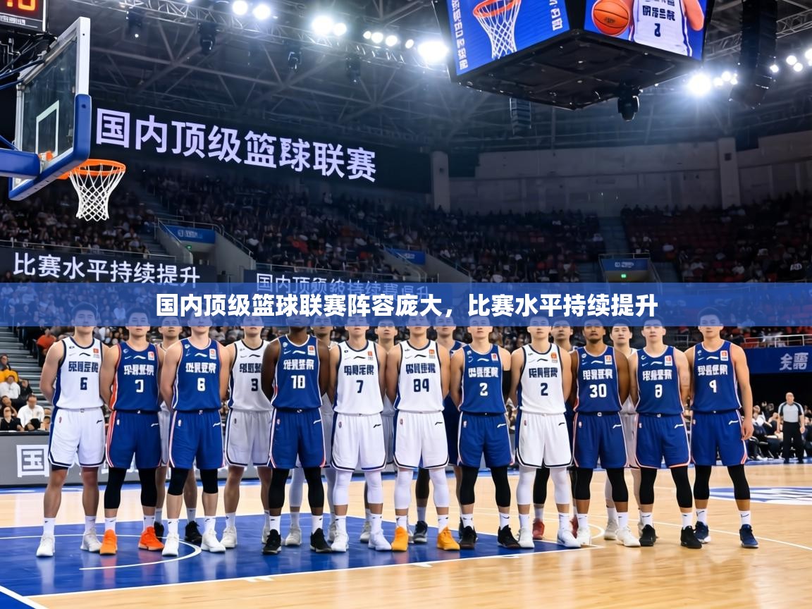 国内顶级篮球联赛阵容庞大，比赛水平持续提升